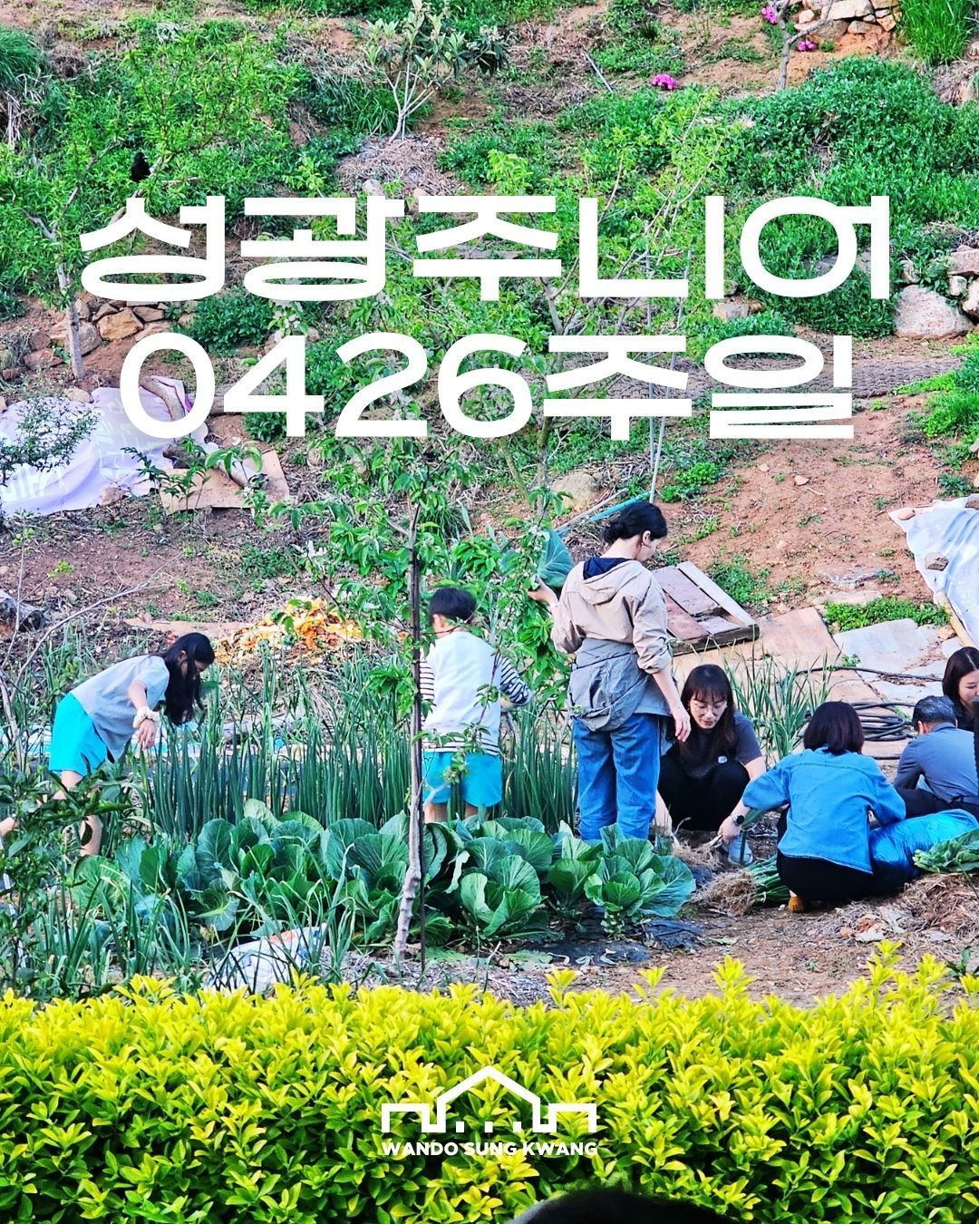 성광주니어 썸네일 이미지