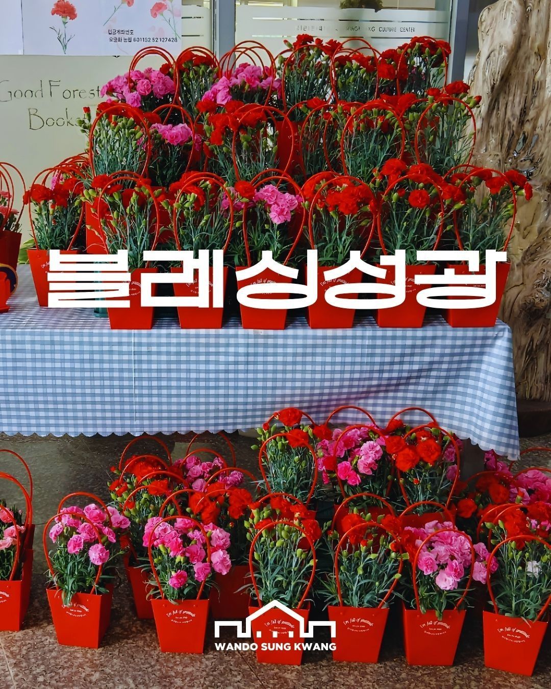 블레싱성광 썸네일 이미지